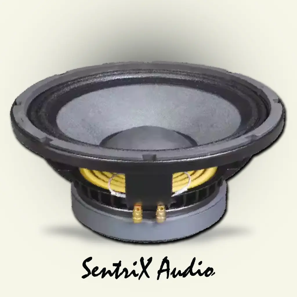10 Inch Full Range Speaker 003.webp