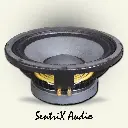 10 Inch Full Range Speaker 003.webp