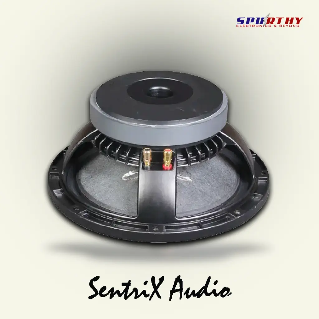 10 Inch Full Range Speaker 002.webp