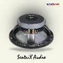 10 Inch Full Range Speaker 002.webp